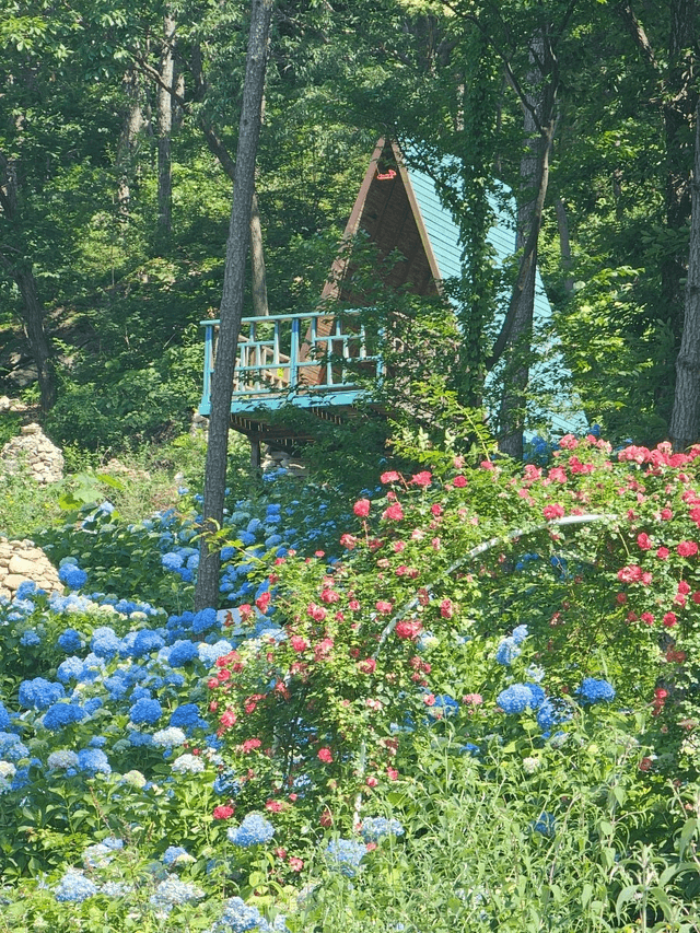 완도 일주일 살기 후기-2