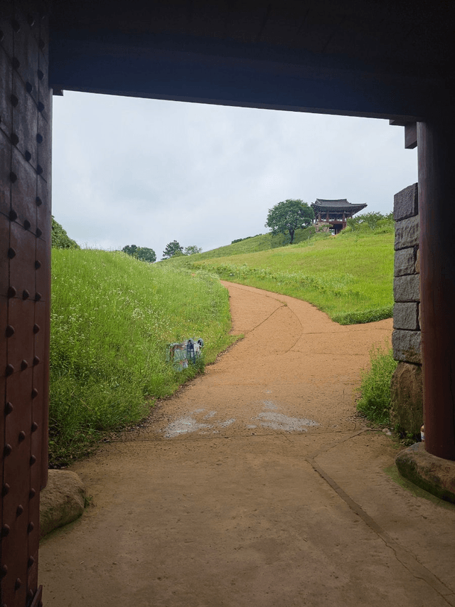 완도 일주일 살기 후기-5