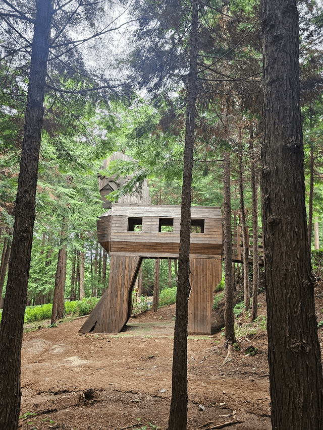 완도 일주일 살기 후기-6