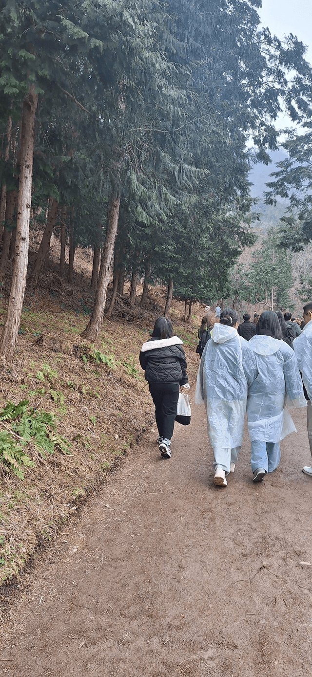 완주 가족힐링 '소풍'-0