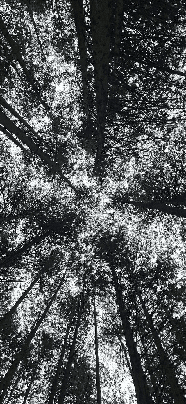 완주 가족힐링 '소풍'-1