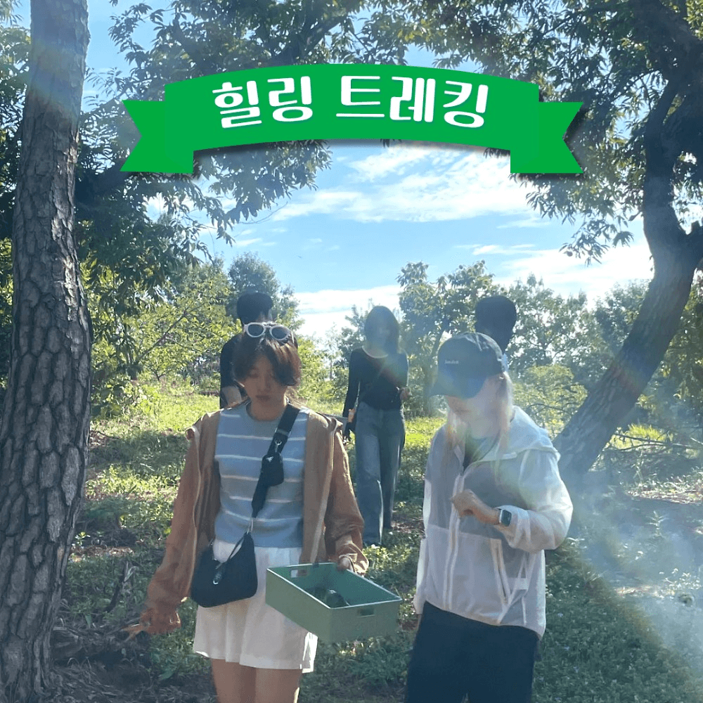 청양 비보투어 '비로소, 보이는 것들' 3박4일 힐링 트레킹 투어 (선착순)