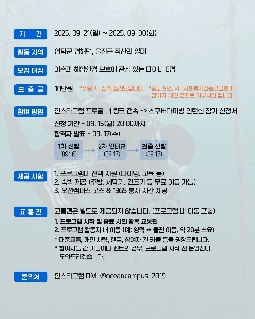 영덕, 울진 스쿠버다이빙 인턴십 참가자 모집