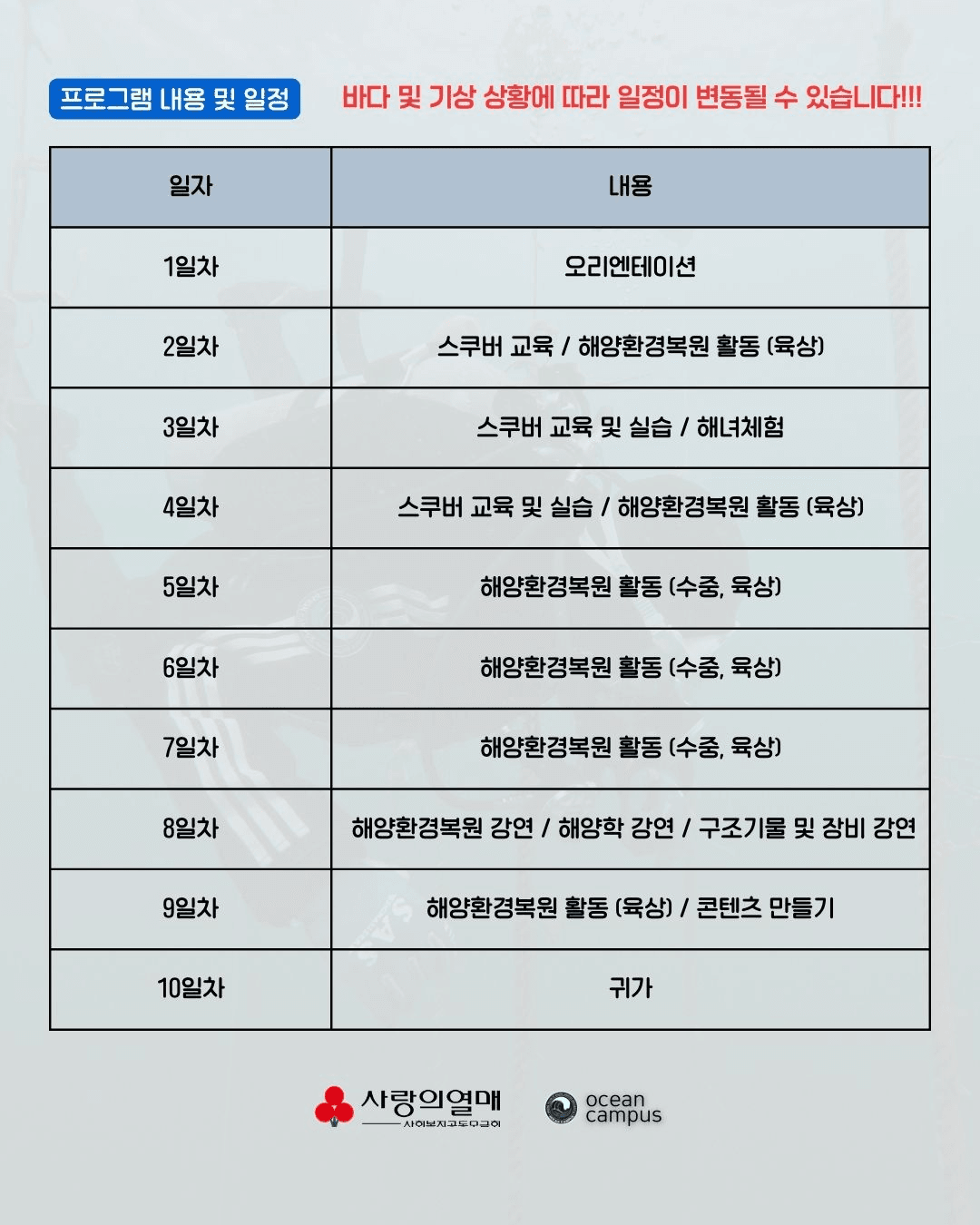 영덕, 울진 스쿠버다이빙 인턴십 참가자 모집