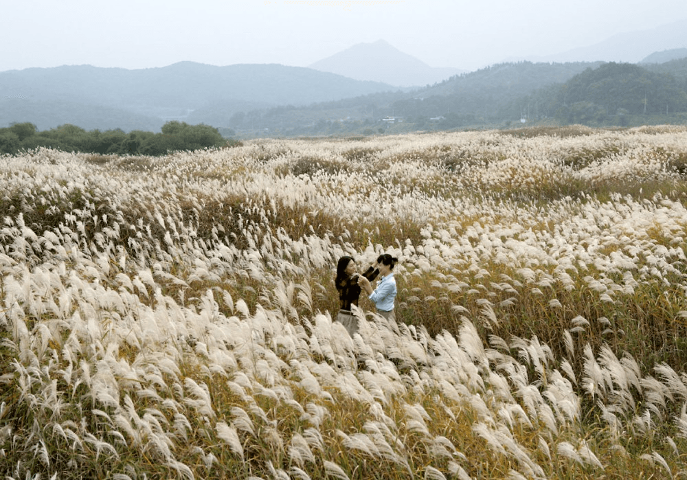 제15회 아름다운 충주관광 전국 사진공모전