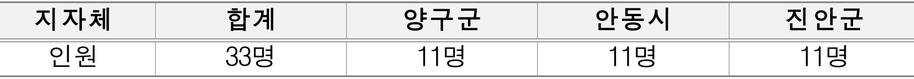 댐 주변지역 로컬 서포터즈, 우리동네 로컬 ON (양구 안동 진안)