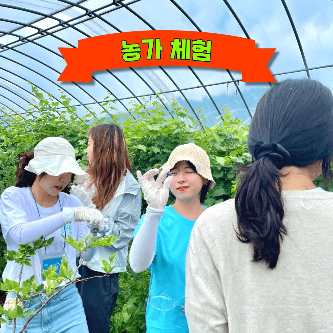 청양 2주살기 참가비 무료! 프로젝트 청양 Spicy투어 참가자 모집