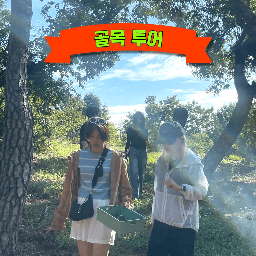 청양 2주살기 참가비 무료! 프로젝트 청양 Spicy투어 참가자 모집