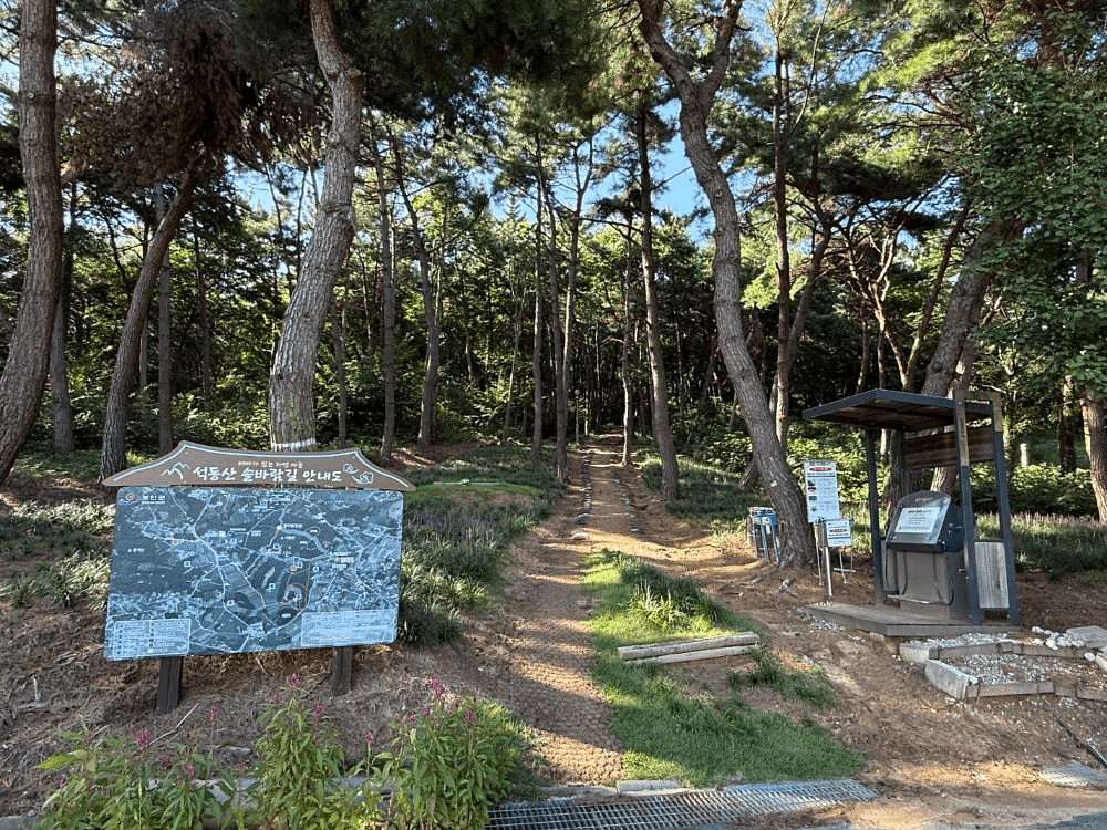 전북 부안 석동마을 산촌마당 캠프 (선착순)