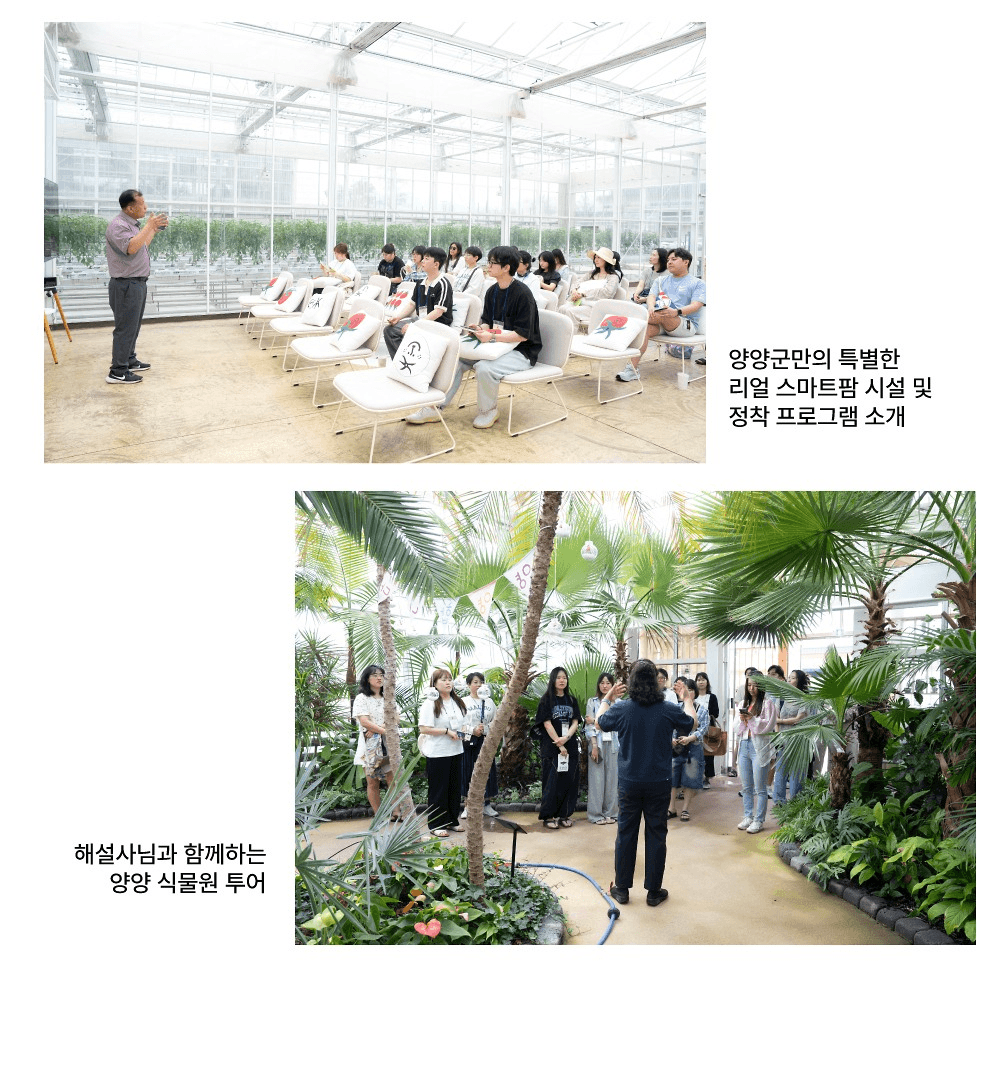 강원도 양양 일주일살기 - 바들바들 현남생활 5기