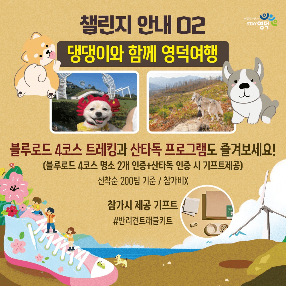 영덕 여행 챌린지 - 진달래 심기와 함께하는 다가치 영덕으로 착한여행