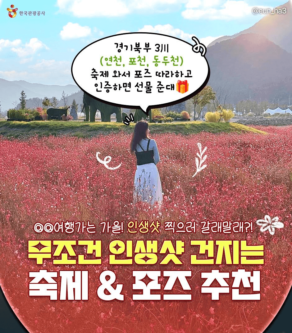 경기북부 무조건 인생샷 건지는 축제&포즈 추천 이벤트 (포천 연천 동두천)