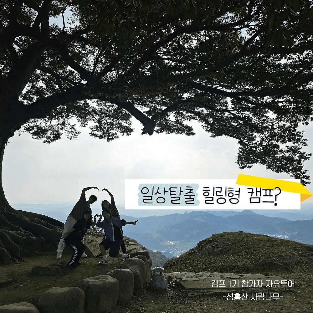 부여살이 캠프 4기 참가자 모집