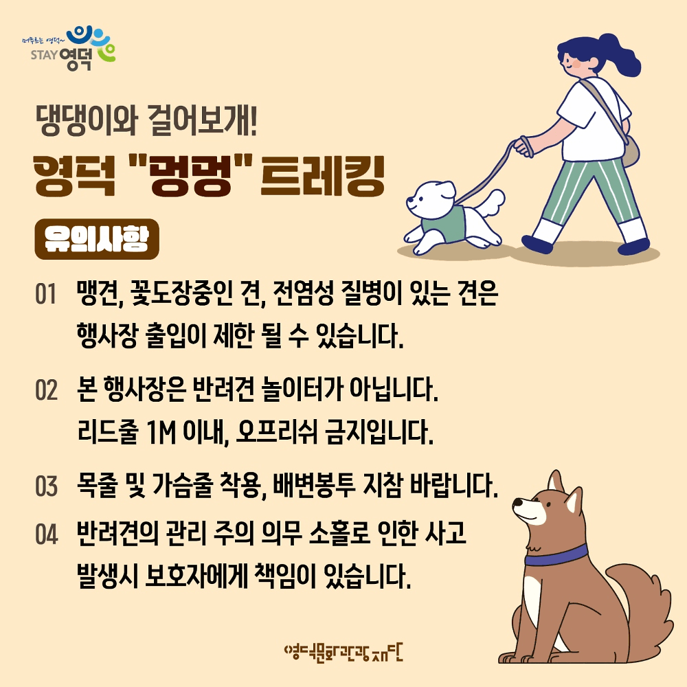 2025 영덕 멍멍 트레킹 참가자 모집