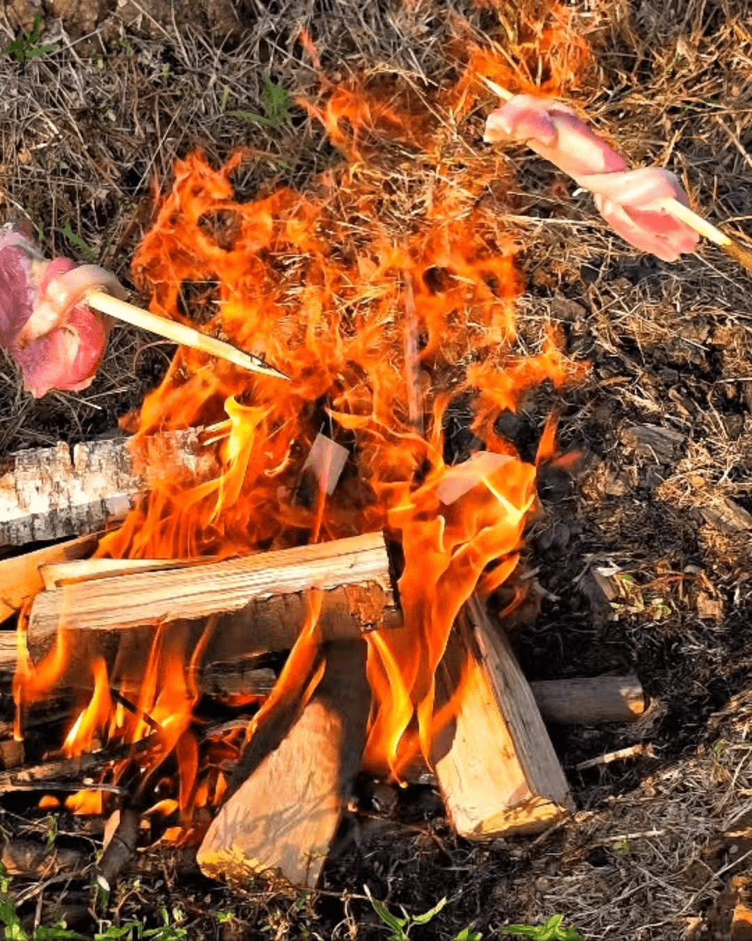 연천 선사 유적 체험단 - 우리가 거기 있었다 (선착순)