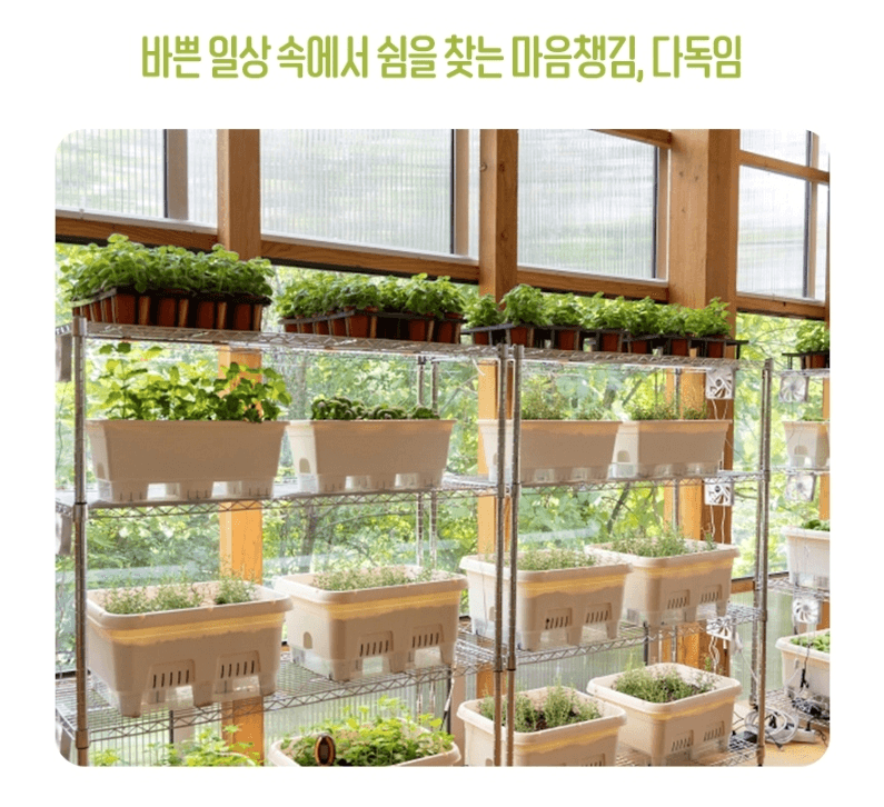 강원도 영월 농촌관광 체험단 팜트래블러 3기