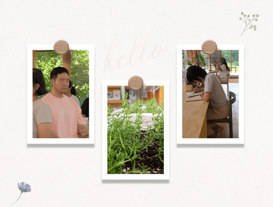 강원도 영월 농촌관광 체험단 팜트래블러 3기