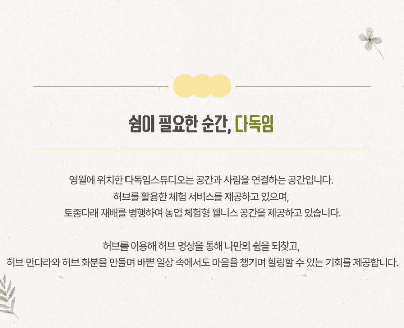 강원도 영월 농촌관광 체험단 팜트래블러 3기