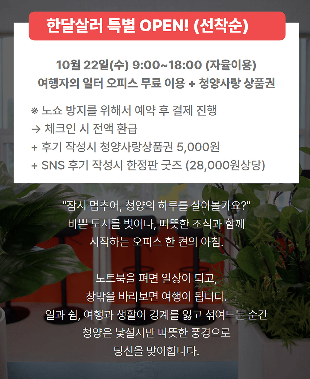 단 하루! 청양 워케이션 오피스 무료 OPEN DAY - 한달살러 전용혜택 (선착순)