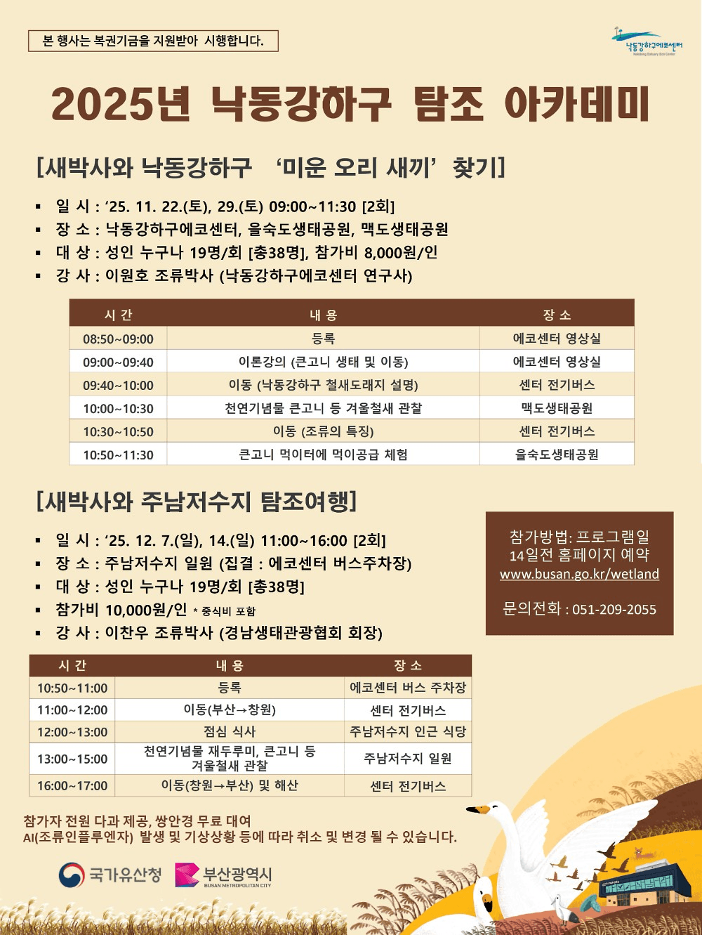 2025 부산 낙동강하구 탐조 : 미운오리새끼 찾기