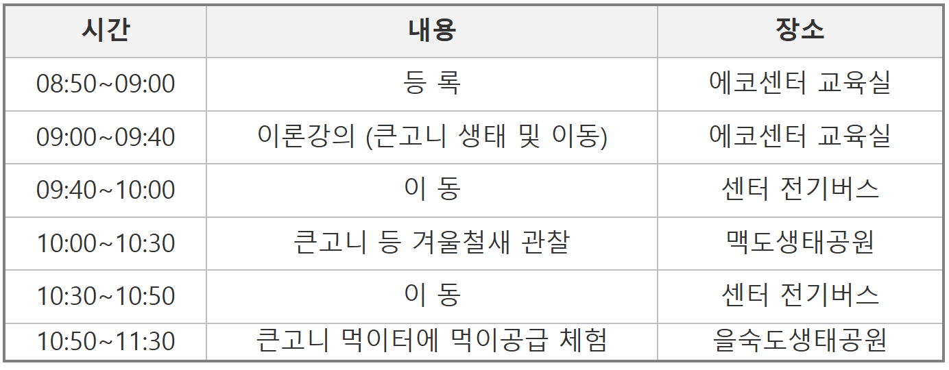 2025 부산 낙동강하구 탐조 : 미운오리새끼 찾기