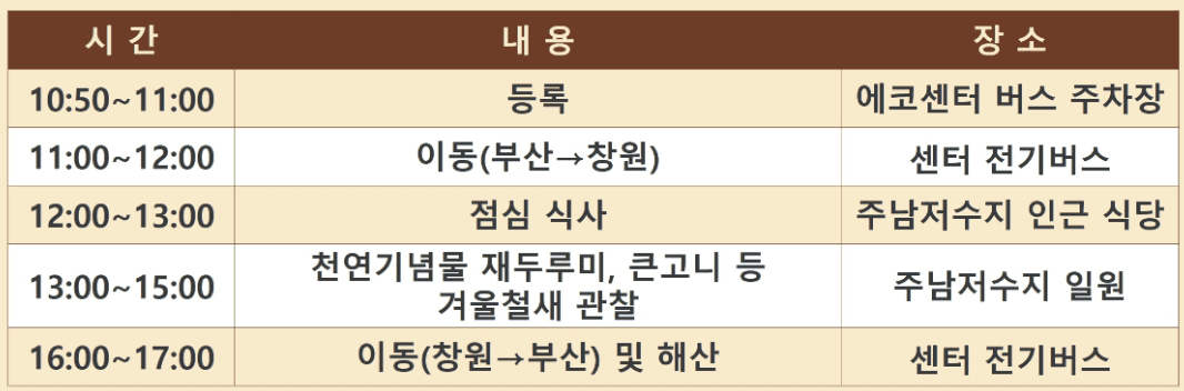 2025 부산 낙동강하구 탐조 : 미운오리새끼 찾기