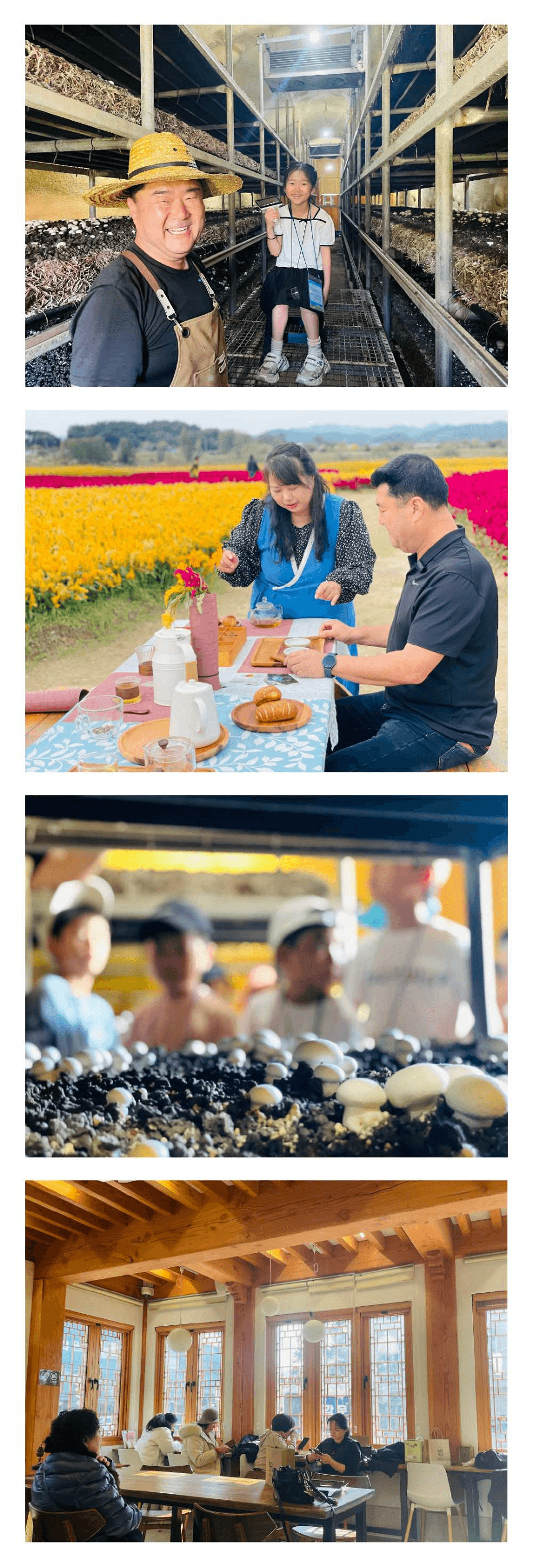 부여 지역살이 런케이션 루트잇 : 중년 귀농 입문 편