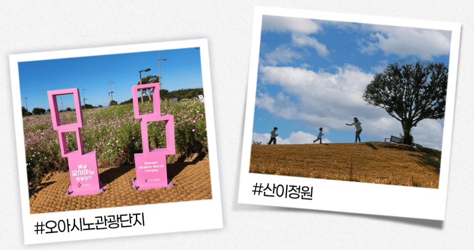 전남의 가을을 기억하다 | 여행 인증 이벤트