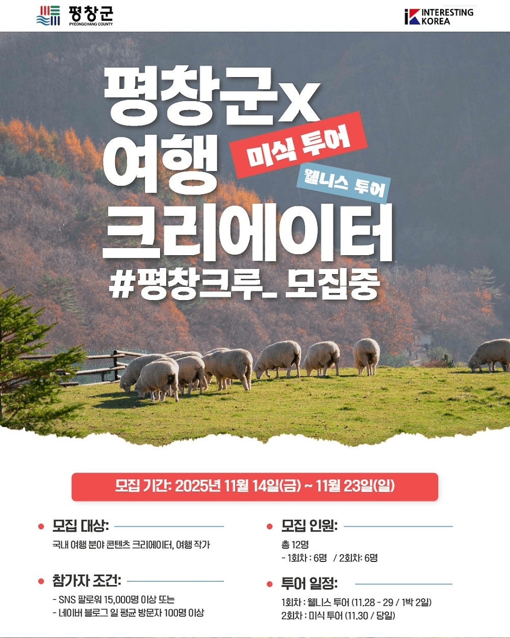 평창 크루 팸투어 모집