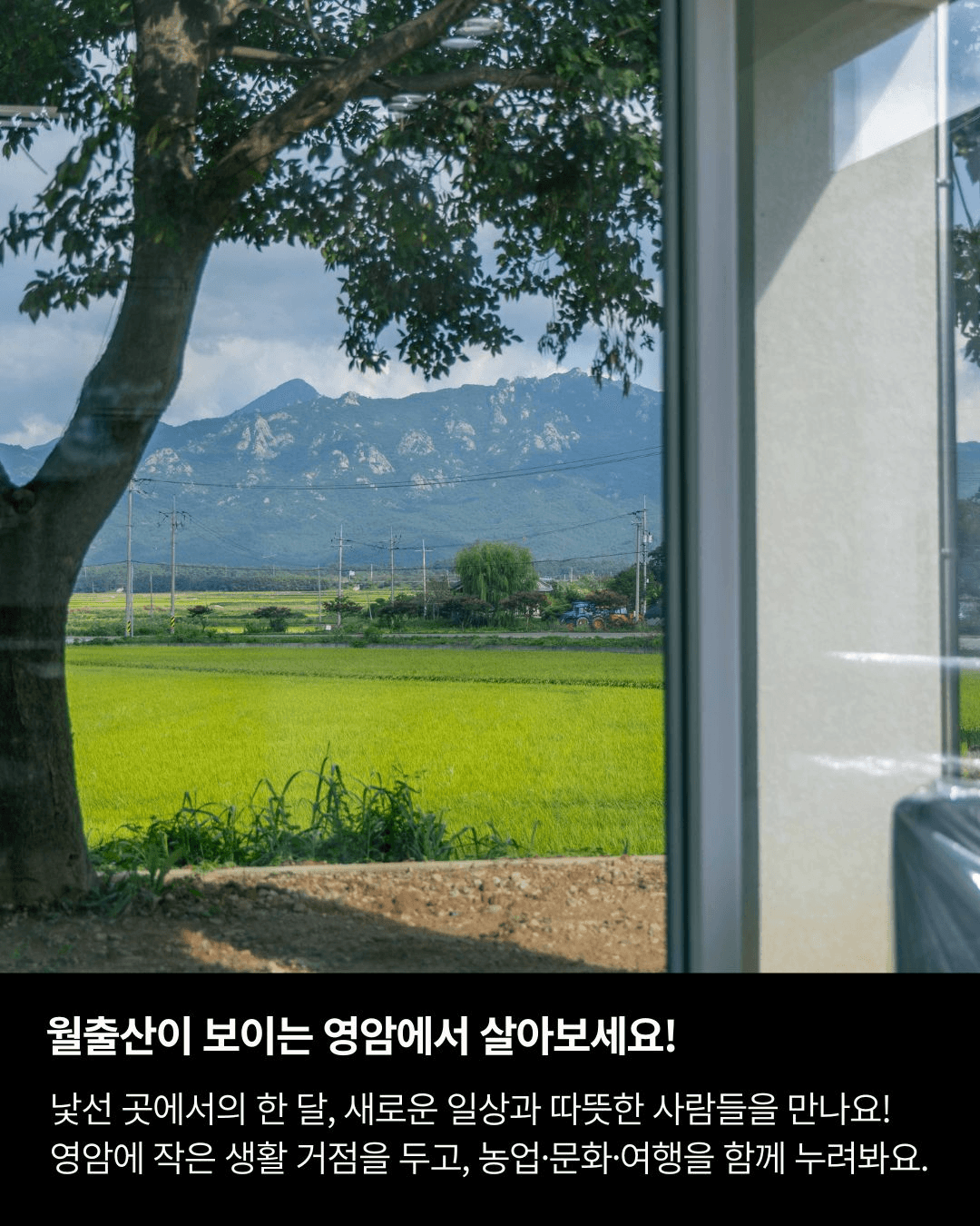 고향올래 두지역 살아보기 영암살래? 영암살래! 2기 모집