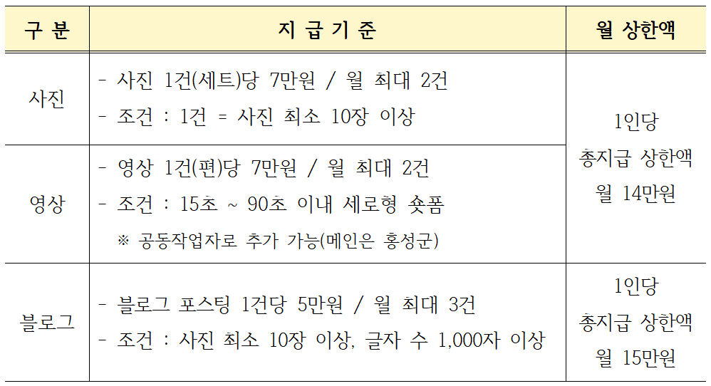 홍성 SNS 서포터즈 8기 모집