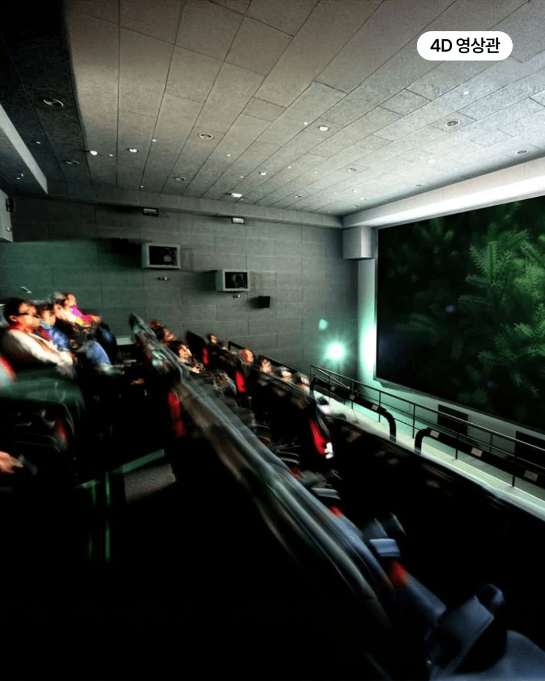 제주 세계자연유산센터 어린이 입장료 무료