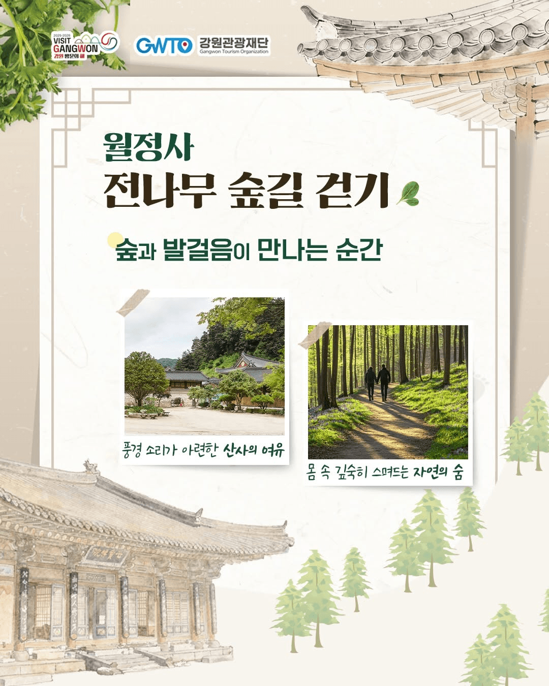 강원 산사에서 선재스님과의 특별한 미식 여행 (평창 월정사, 선착순)