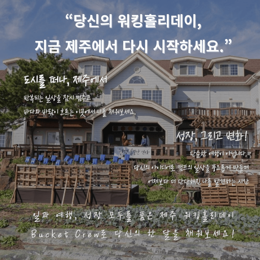 Bucket 제주 워킹홀리데이 크루 모집