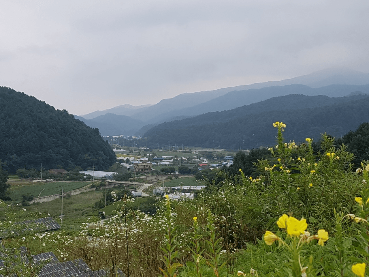 2025 강원도 한달살기 : 철원 누에마을 귀농귀촌 사전탐방 (9~10월)