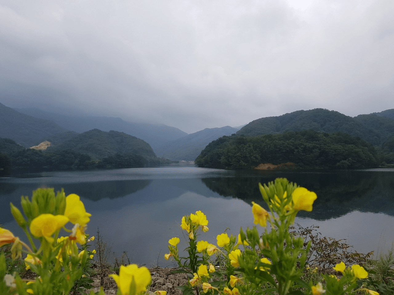 2025 강원도 한달살기 : 철원 누에마을 귀농귀촌 사전탐방 (9~10월)