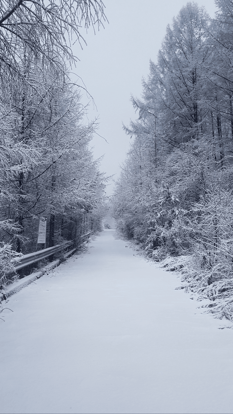2025 강원도 한달살기 : 철원 누에마을 귀농귀촌 사전탐방 (9~10월)