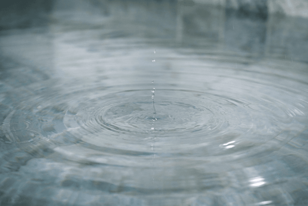 아산 도고 2박3일 취향살이 편지편 3기 <세상에 남기는 편지>