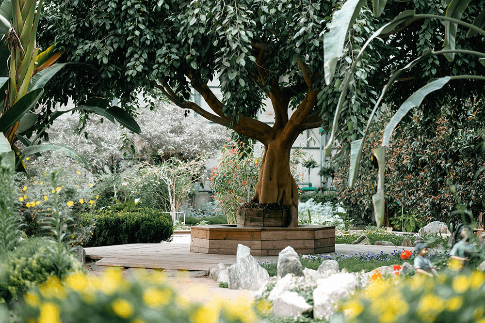 [DOGO온천 꿀잠투어] 아산 온천과 관광이 함께하는 2박3일 웰니스 여행