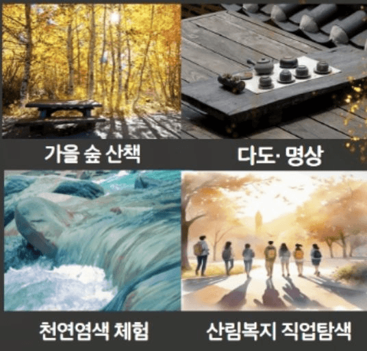 (선착순-조기 모집종료됐습니다) 국립나주숲체원 청년 산림복지 직업탐색 캠프 숲 헤는 청춘