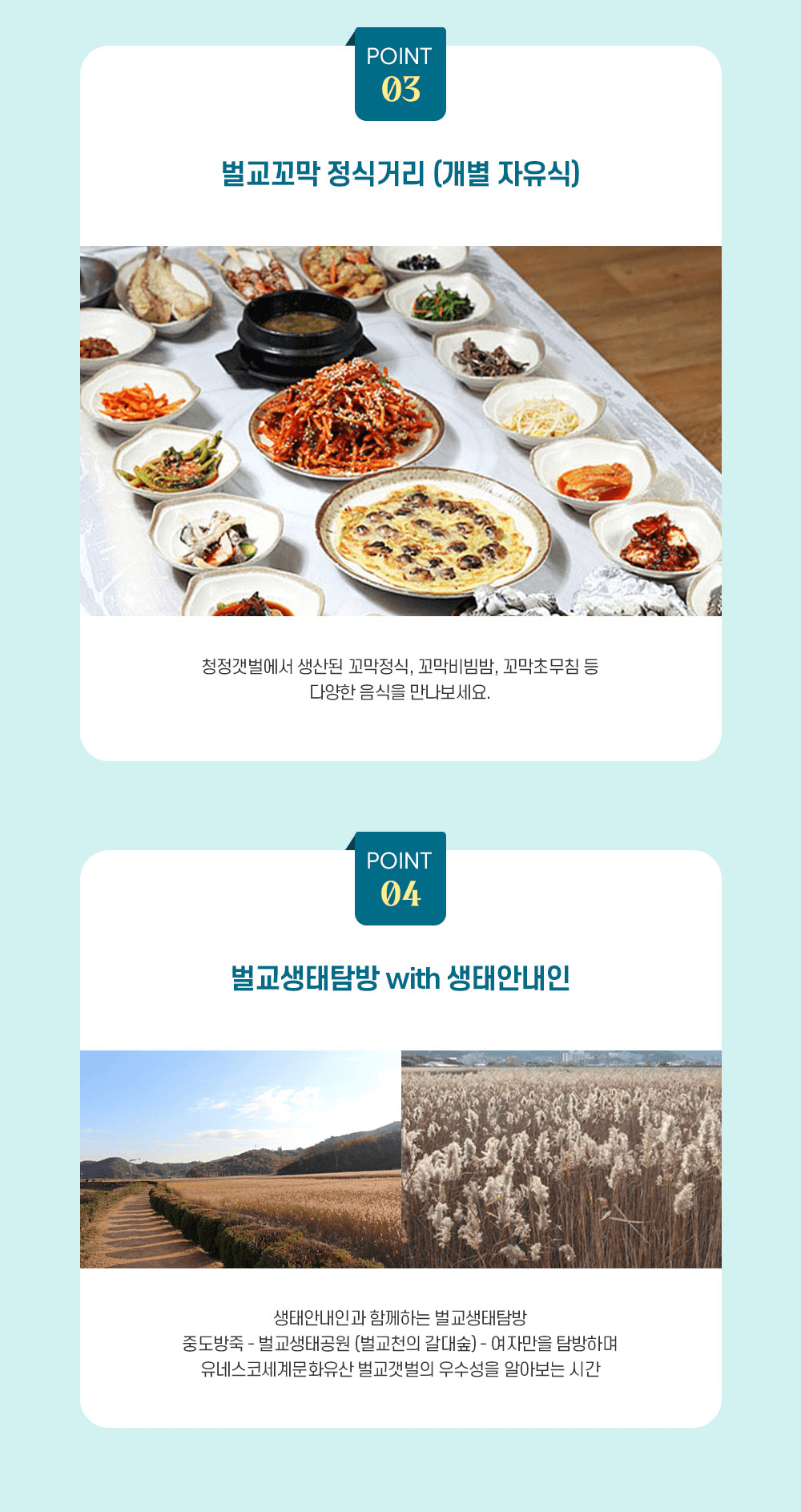 (선착순) 천상의 갯벌이 살아 숨 쉬는 보성 벌교생태탐방여행 체험단 - 대구출발 당일 버스투어