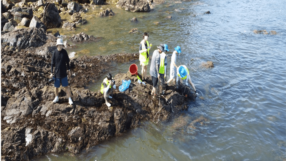 (한달살러 전용혜택, 선착순) 군산 방축도 어촌체험휴양마을 워케이션