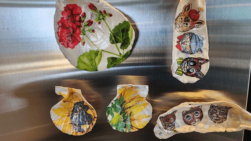 (한달살러 전용혜택, 선착순) 보령 삽시도 어촌체험휴양마을 워케이션