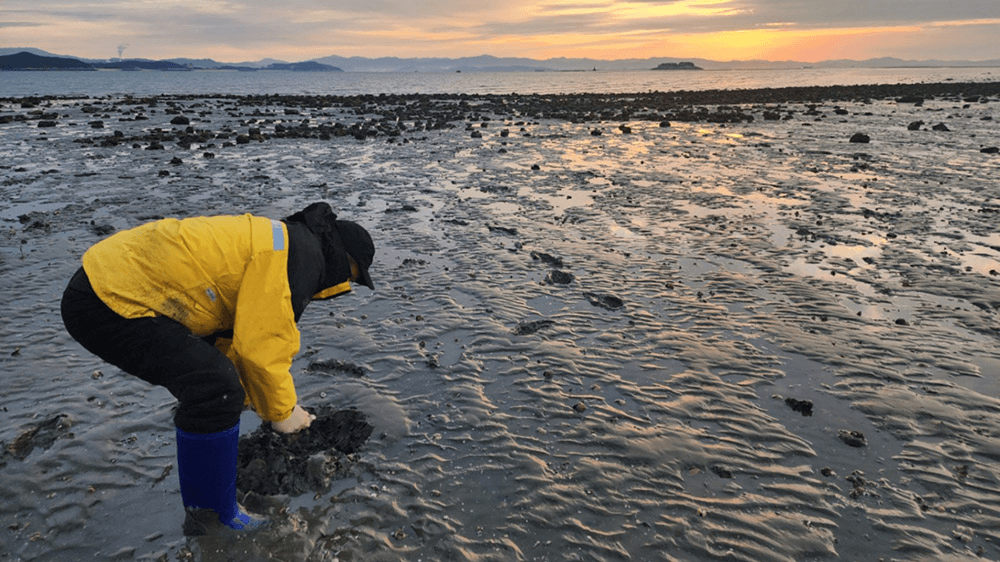 (한달살러 전용혜택, 선착순) 보령 삽시도 어촌체험휴양마을 워케이션