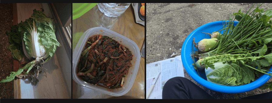 전남 보성 '2025년 청년마을 만들기 사업'을 함께 준비할 동료 추가 모집