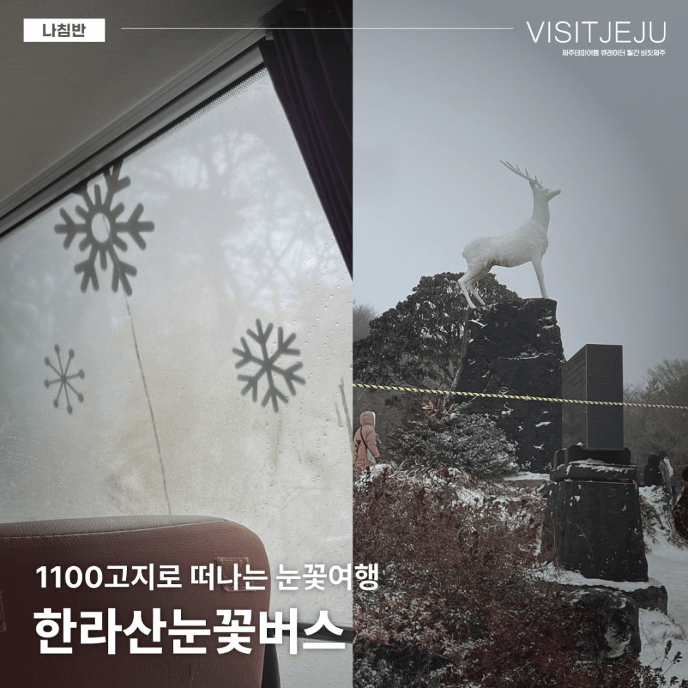 제주 한라눈꽃버스 운행기념 이벤트