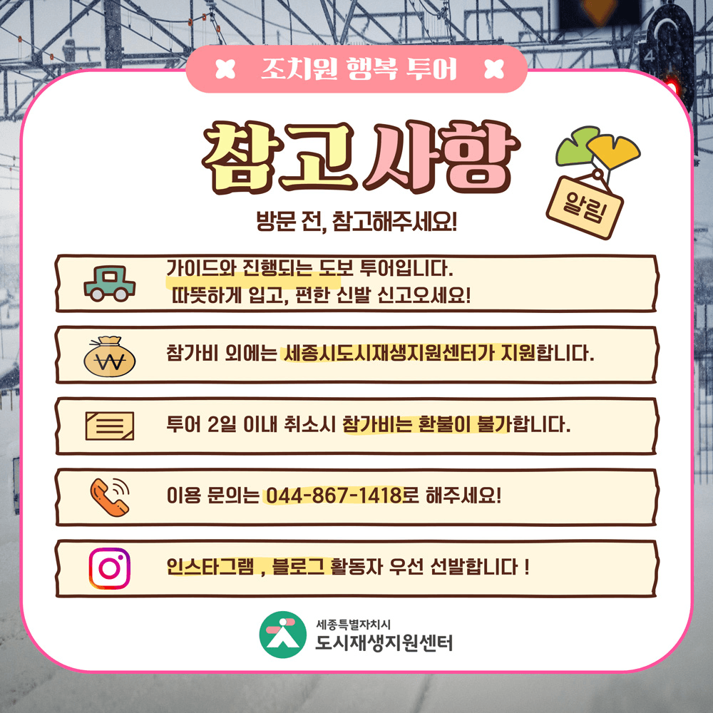 세종 조치원 반나절투어 - 쿠킹클래스 체험 참여자 모집 (2025년 설명절 특집, 선착순)