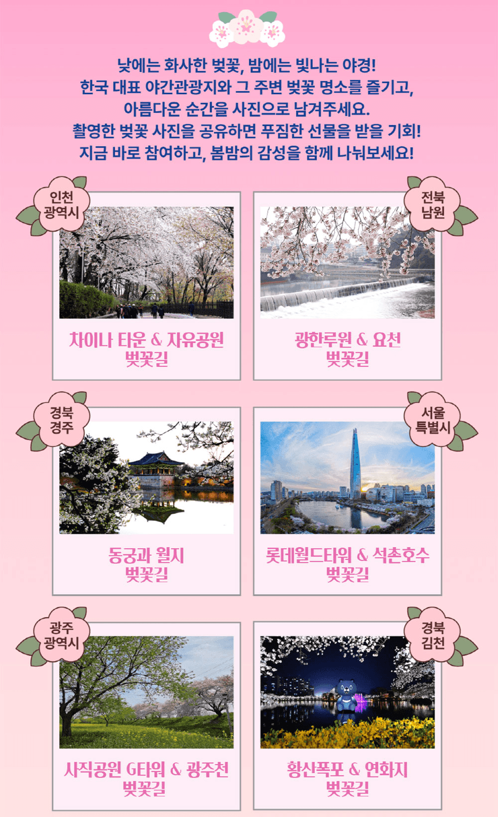 월간 밤밤곡곡 3월 - 벚꽃 사진 이벤트  참여하고 선물받기!