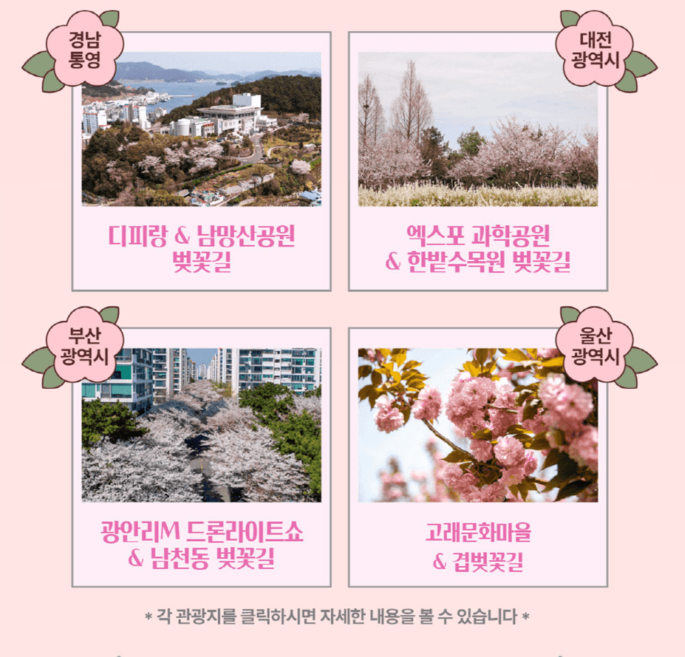 월간 밤밤곡곡 3월 - 벚꽃 사진 이벤트  참여하고 선물받기!