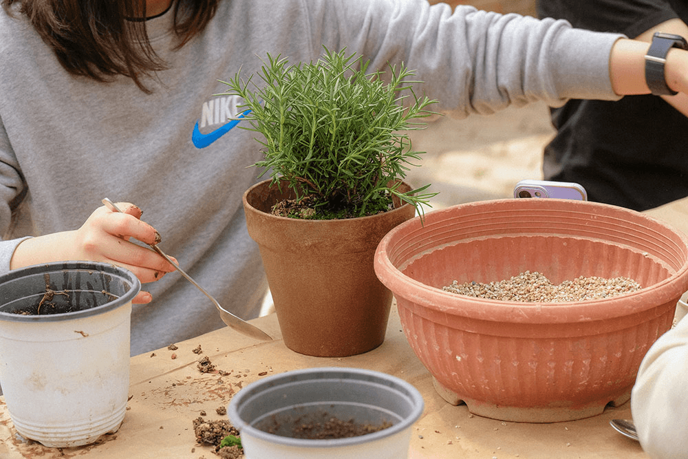 [유료] 중장년 대상 여행 프로그램, 삶의 다음 장을 여는 아산 'Re:Life' (DOGO온천)